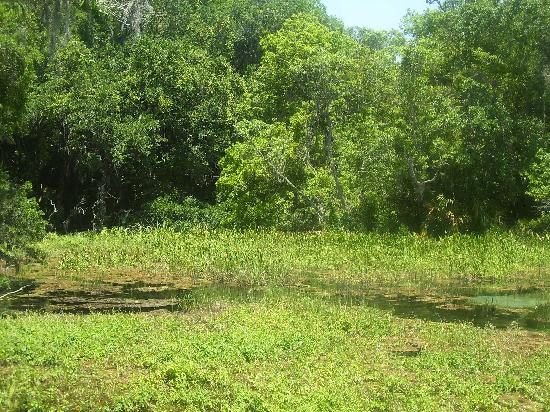 Rainbow River-Dunnellon必去景点