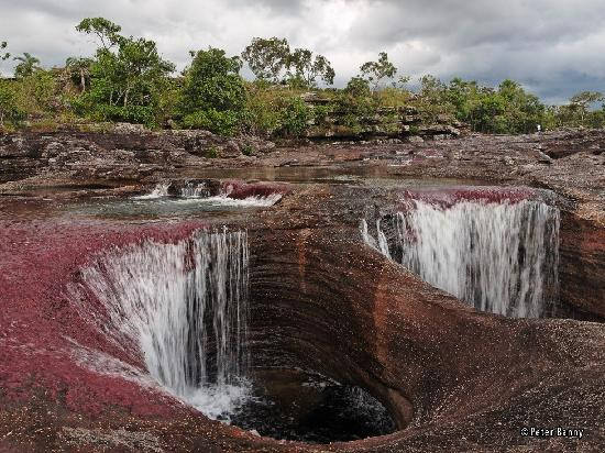 Cano Cristales-La Macarena必去景点