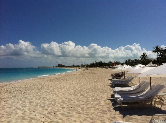 Island Vibes Tours-普罗维登西亚莱斯必去景点