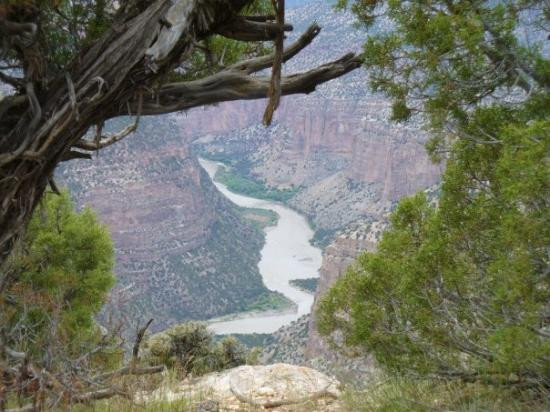 Harpers Corner Trail-Dinosaur必去景点