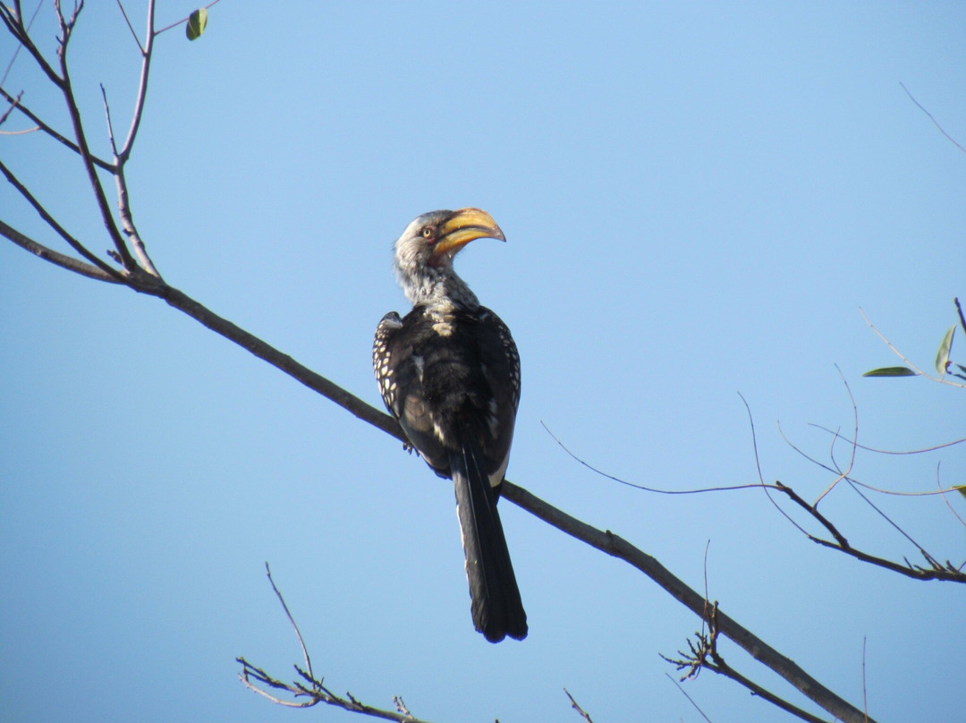 Nandzana Safaris-伐拉博瓦必去景点