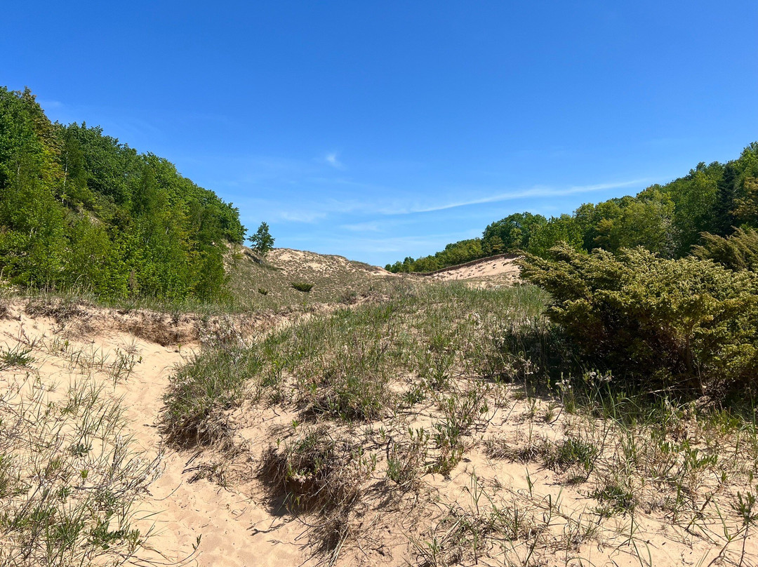 Arcadia Dunes CS Mott Nature Preserve-Arcadia必去景点