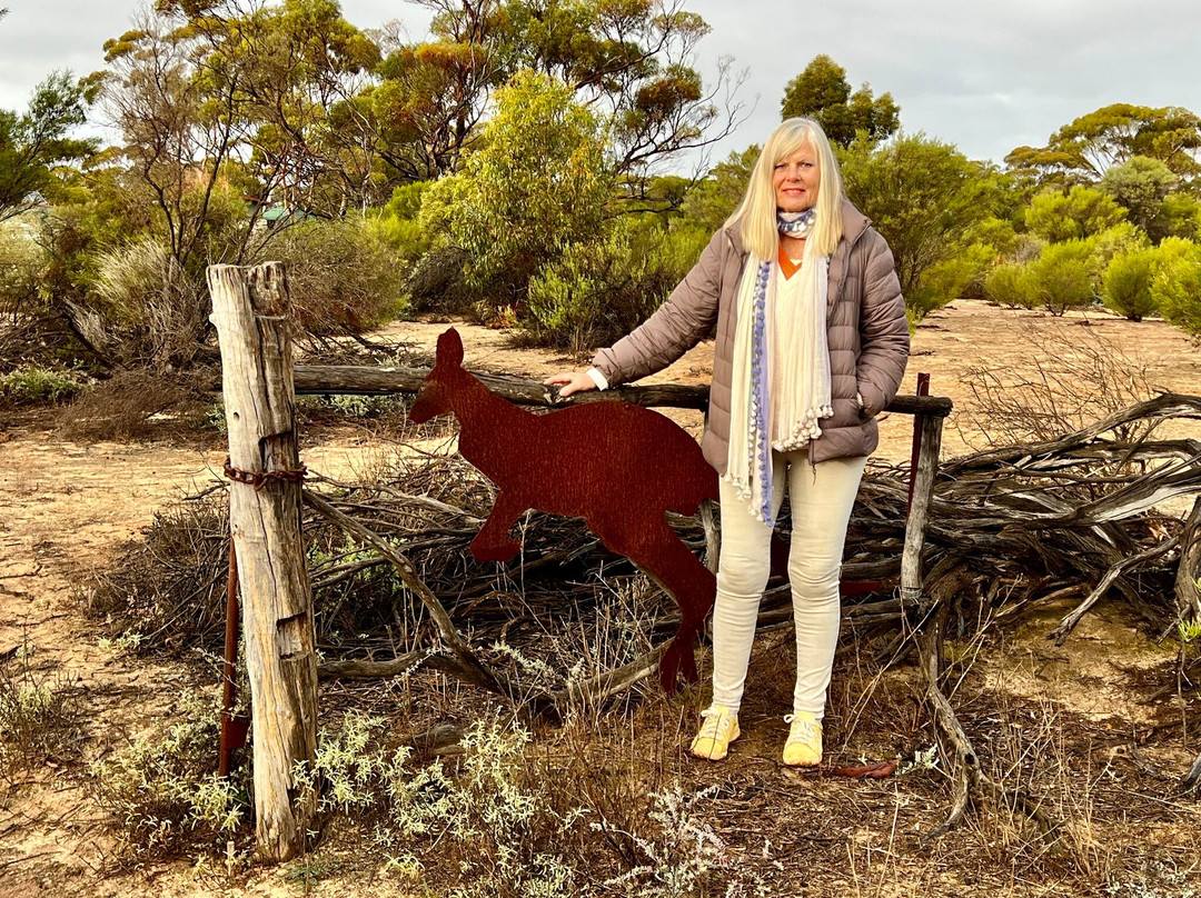 Gawler Ranges Wilderness Safari Day Tour-Wudinna必去景点