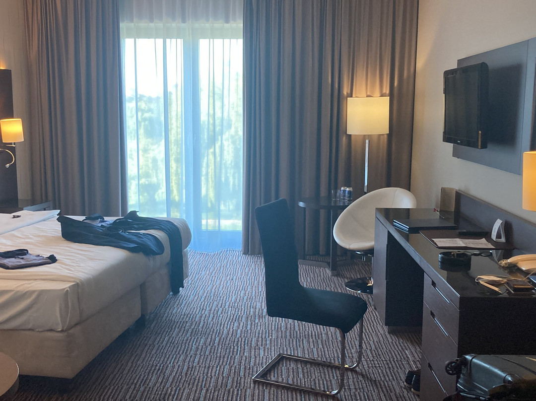 Copernicus Torun Hotel主图