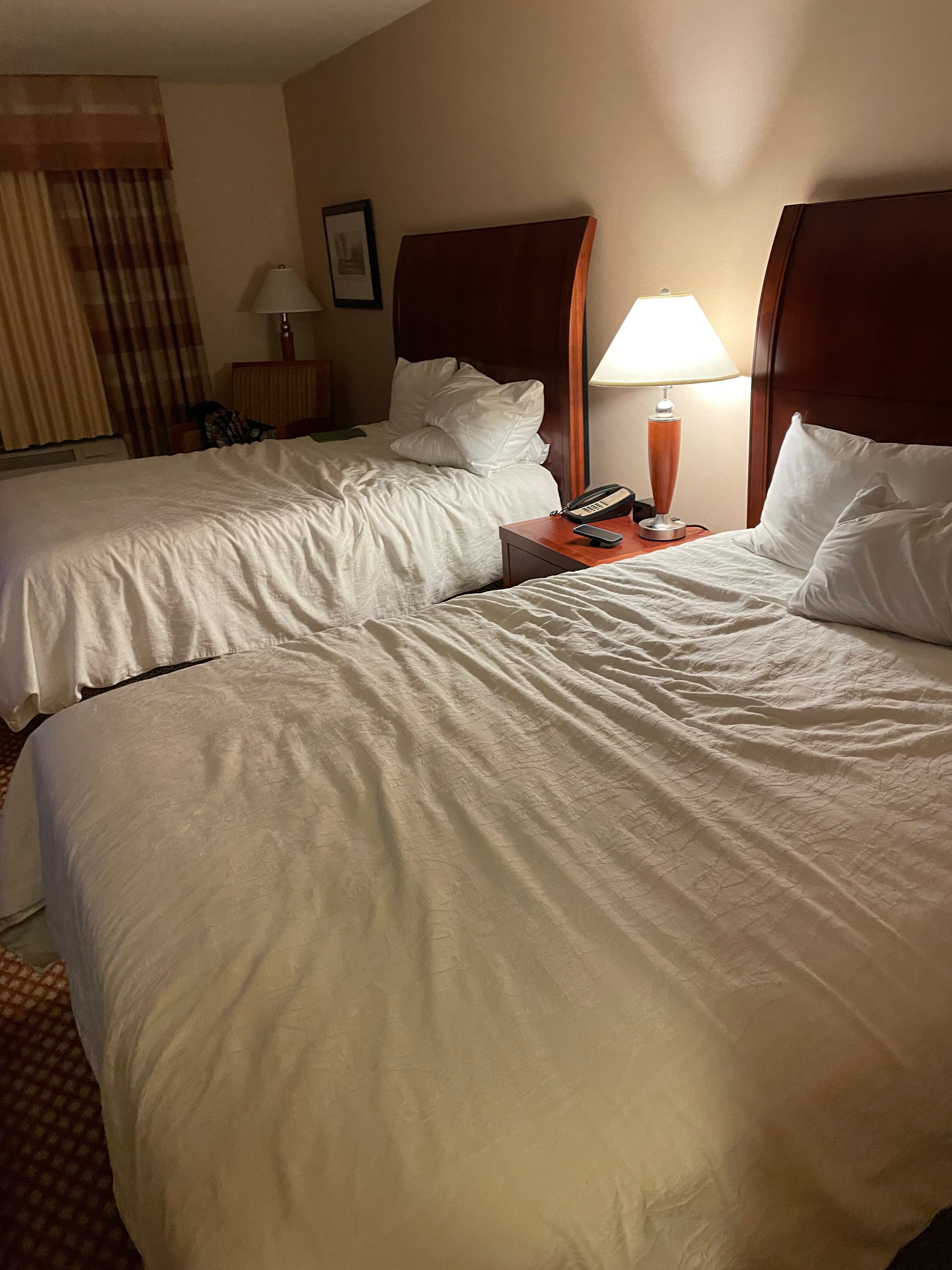 Hilton Garden Inn Las Cruces-客卧