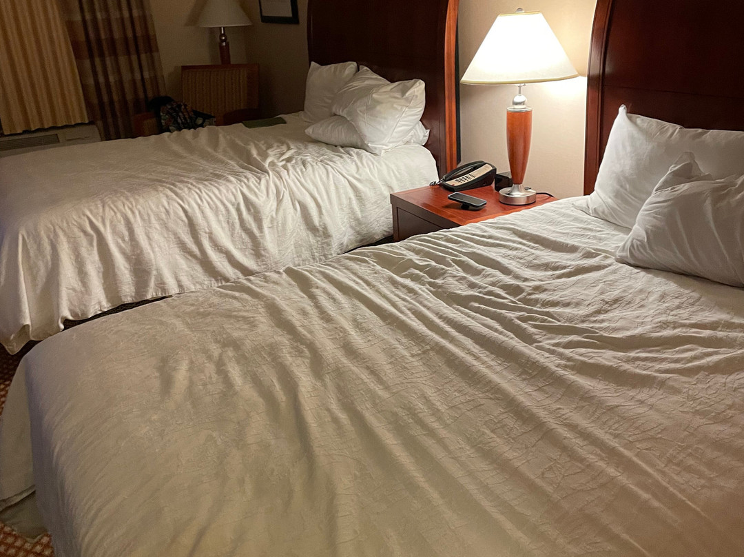 Hilton Garden Inn Las Cruces主图