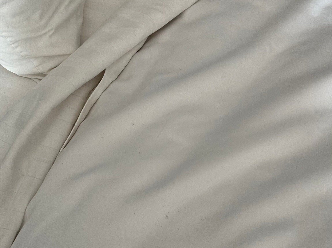 La Quinta Inn & Suites by Wyndham Holbrook Petrified Forest主图