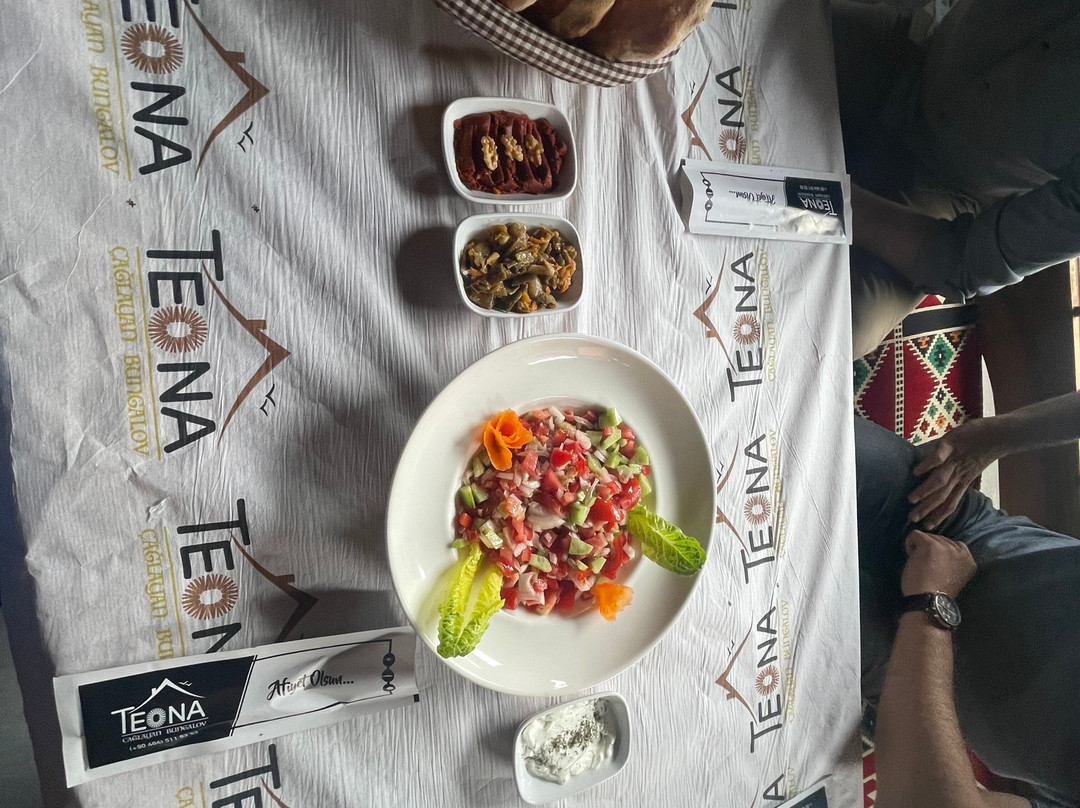 Teona Çağlayan Bungalov主图