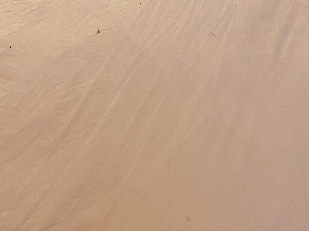 Holiday Inn Express & Suites Topeka North by IHG主图