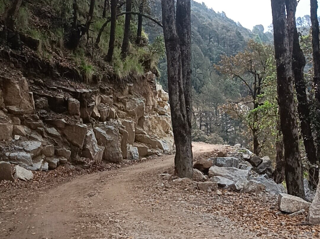 Rajgundha Valley景点图片