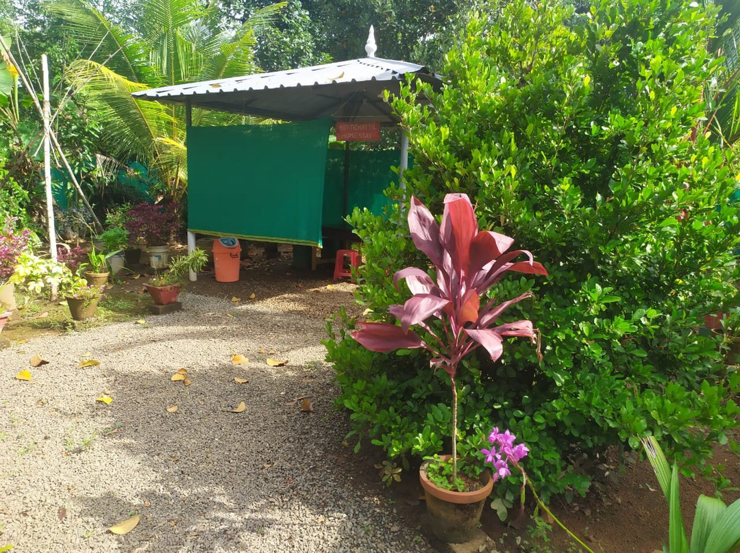 Kuttickattil Gardens Homestay主图