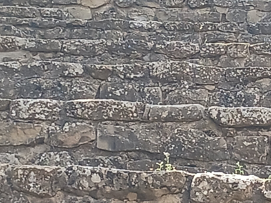 Hotel Sierra de Cazorla & SPA 3主图