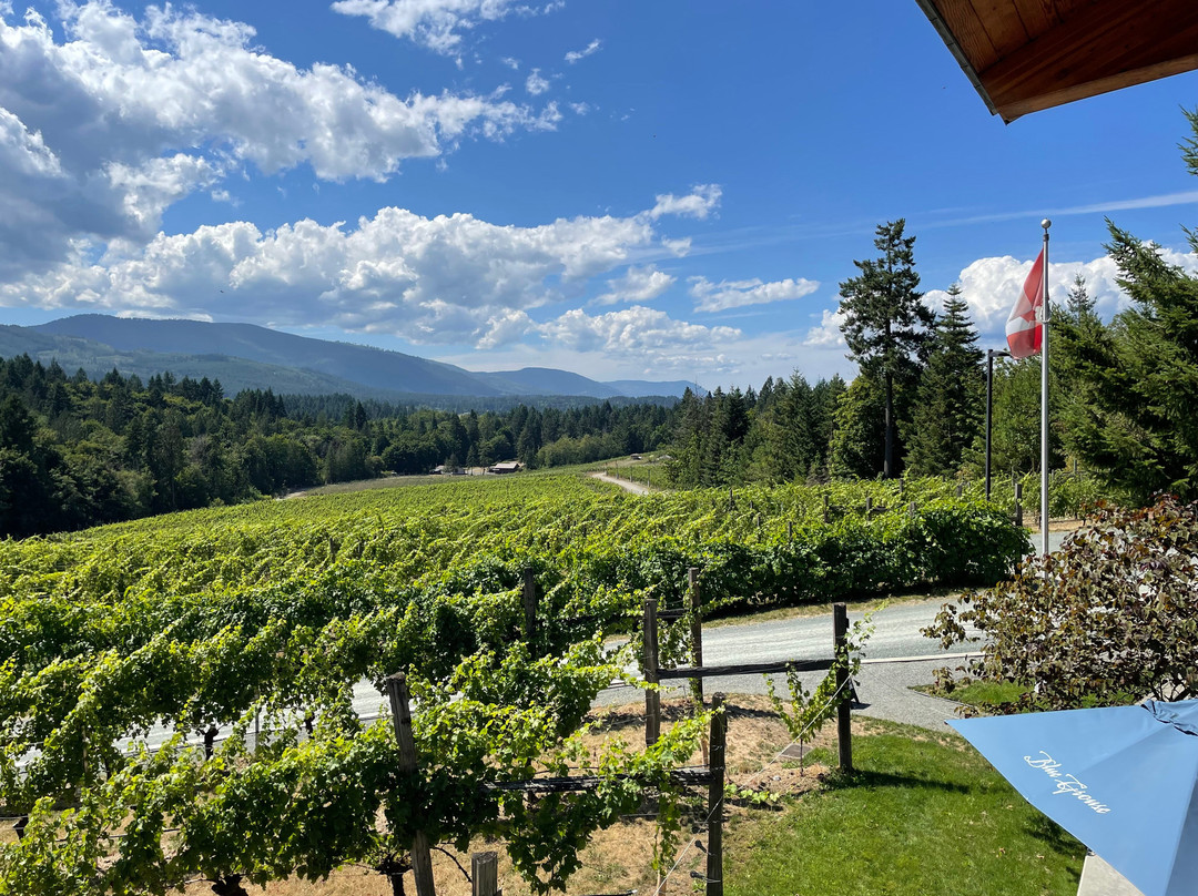 Blue Grouse Estate Winery and Vineyard景点图片