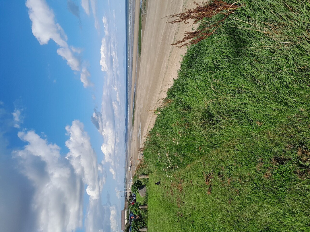 Laytown Races-Laytown必去景点