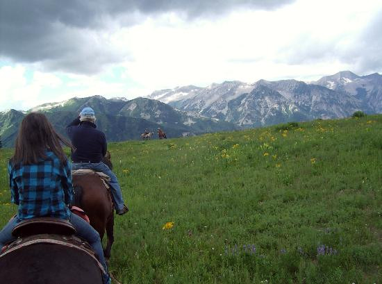 Outwest Guides - Day Tours-Marble必去景点