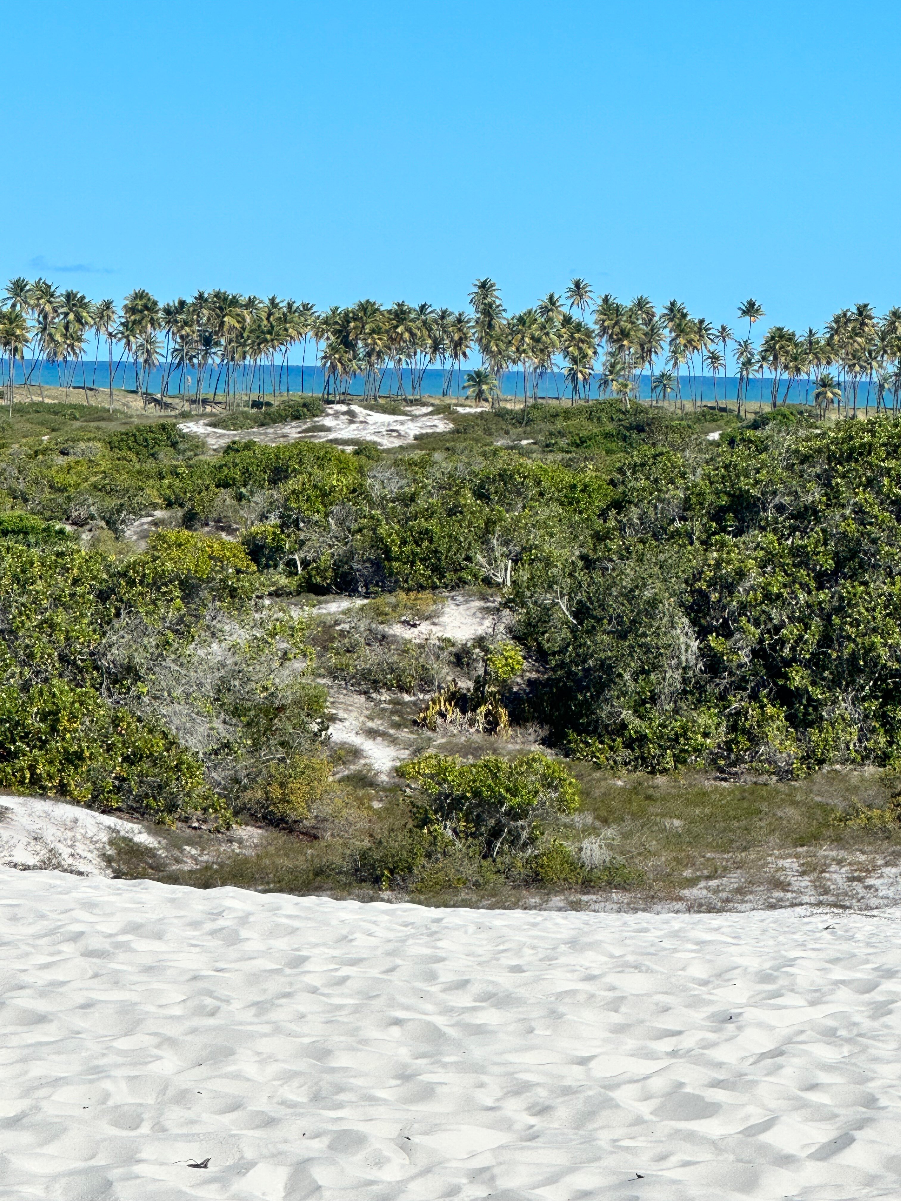 Pousada na Bahia Too Cool-浴室