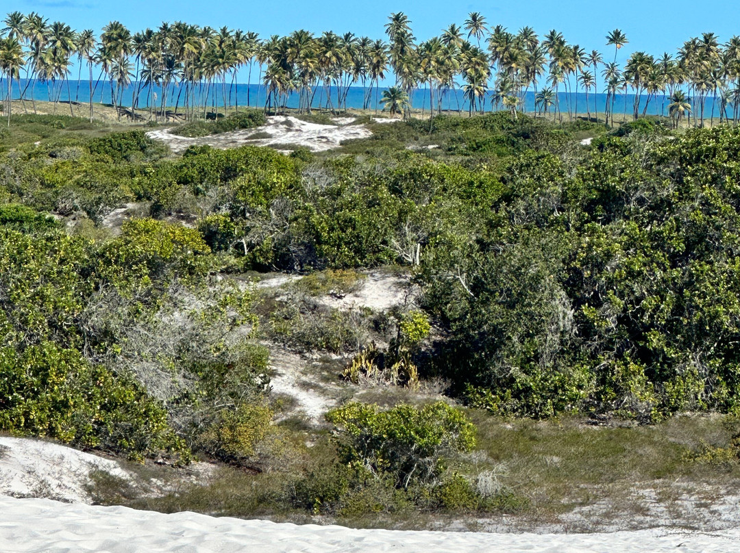 Pousada na Bahia Too Cool主图