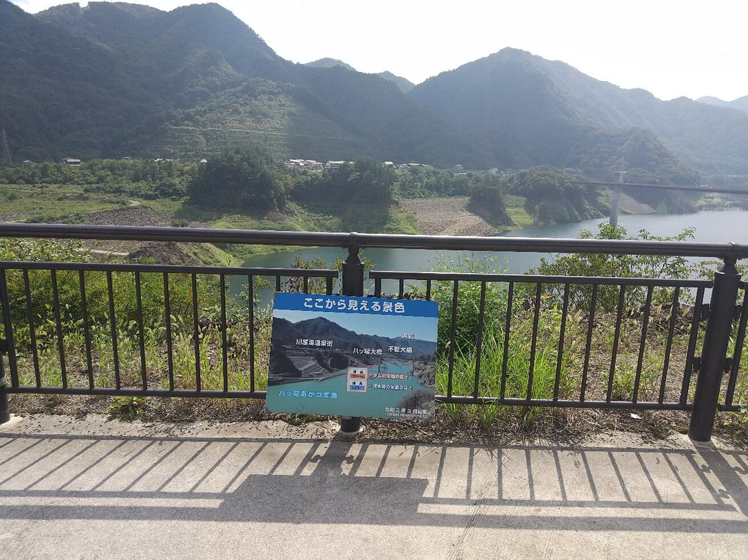 Yamba Viewing Platform-长野原町必去景点