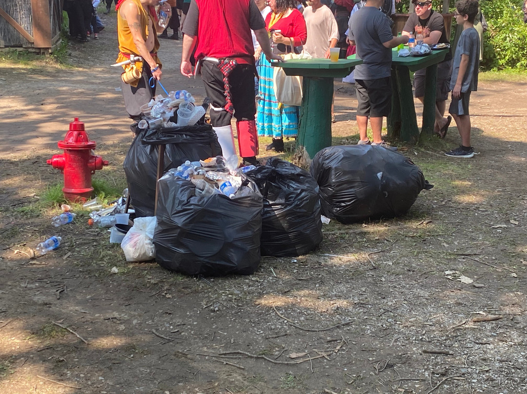 Michigan Renaissance Festival景点图片