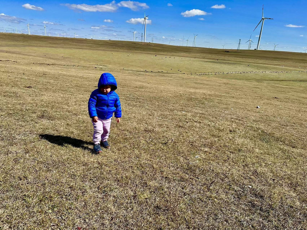 乌兰察布草原-乌兰察布市必去景点
