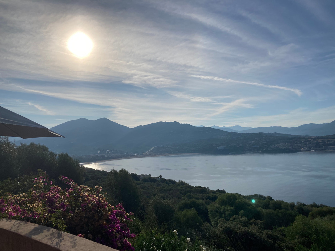 Villa Vetricella Corse Sud主图