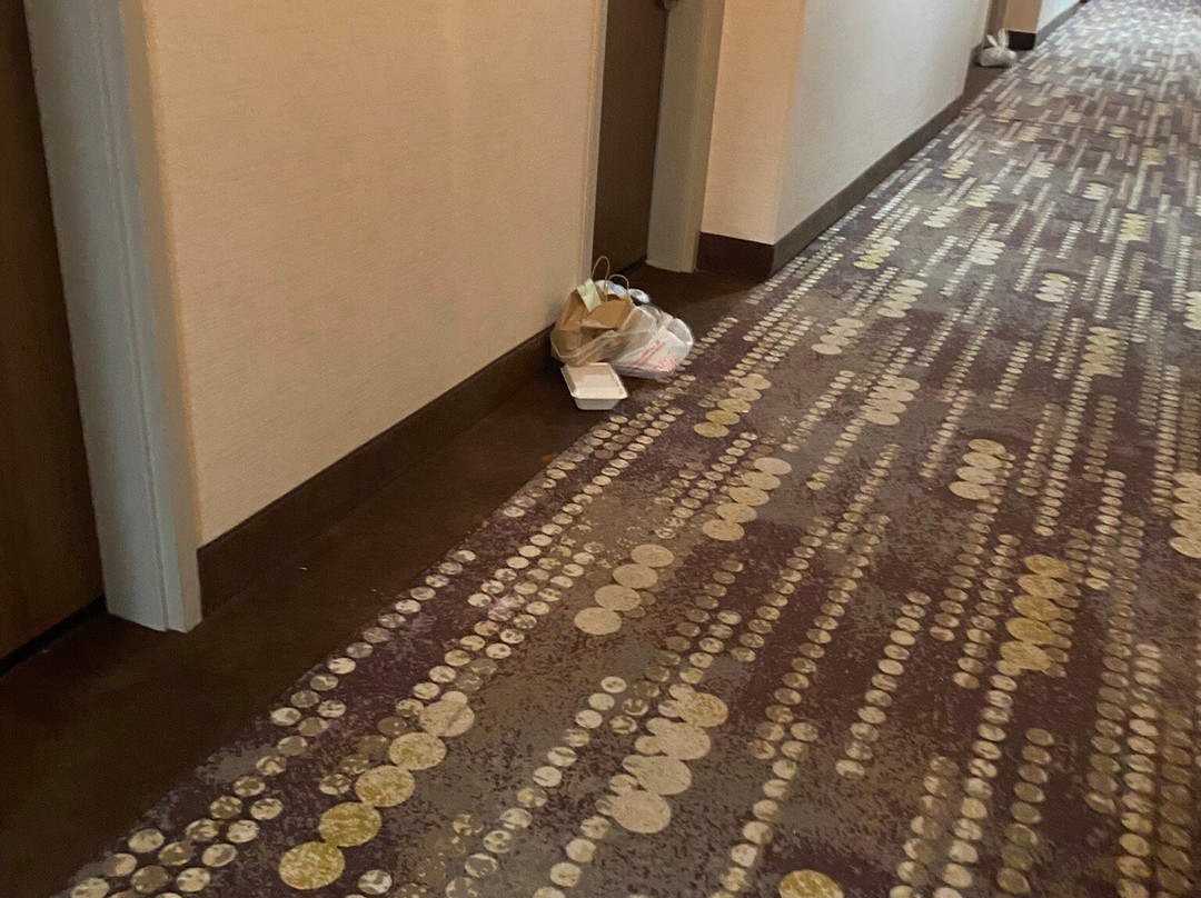 Hilton Garden Inn Jackson/Clinton主图