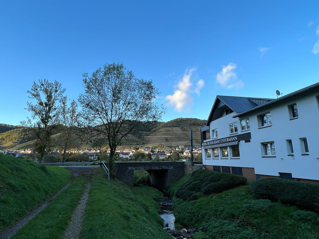 奥斯特曼酒店主图