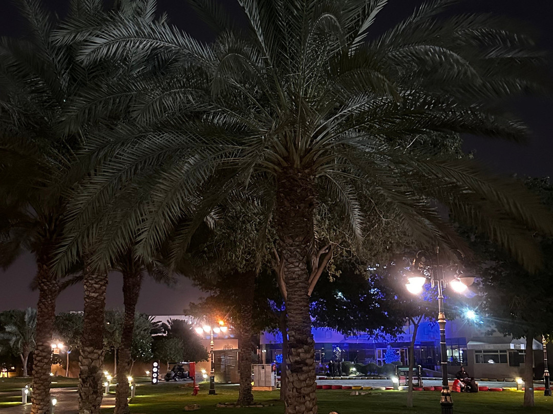King Abdullah Park-利雅德必去景点