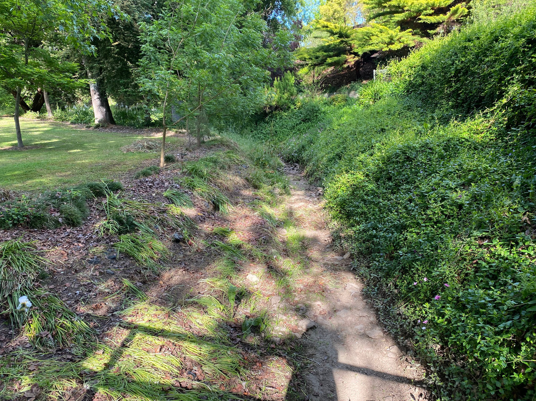 Stockwell Gardens景点图片