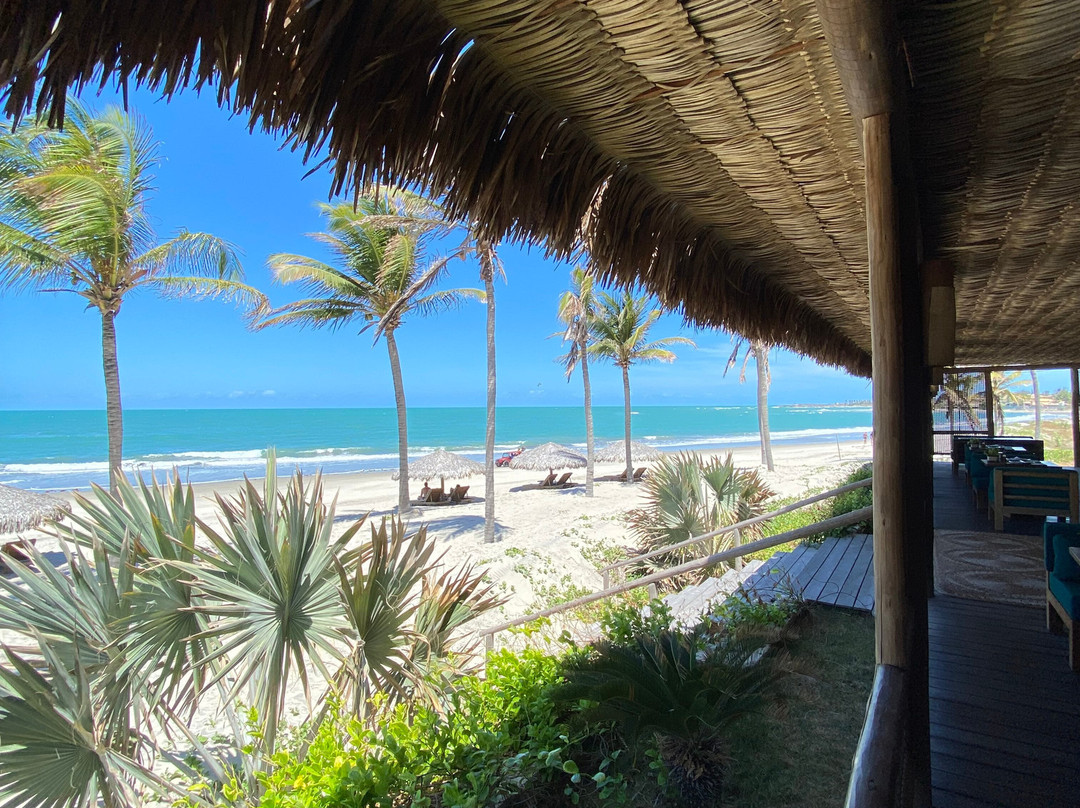 Hotel Vila Selvagem主图