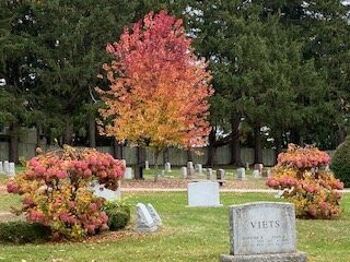 Laurel Hill Cemetery景点图片