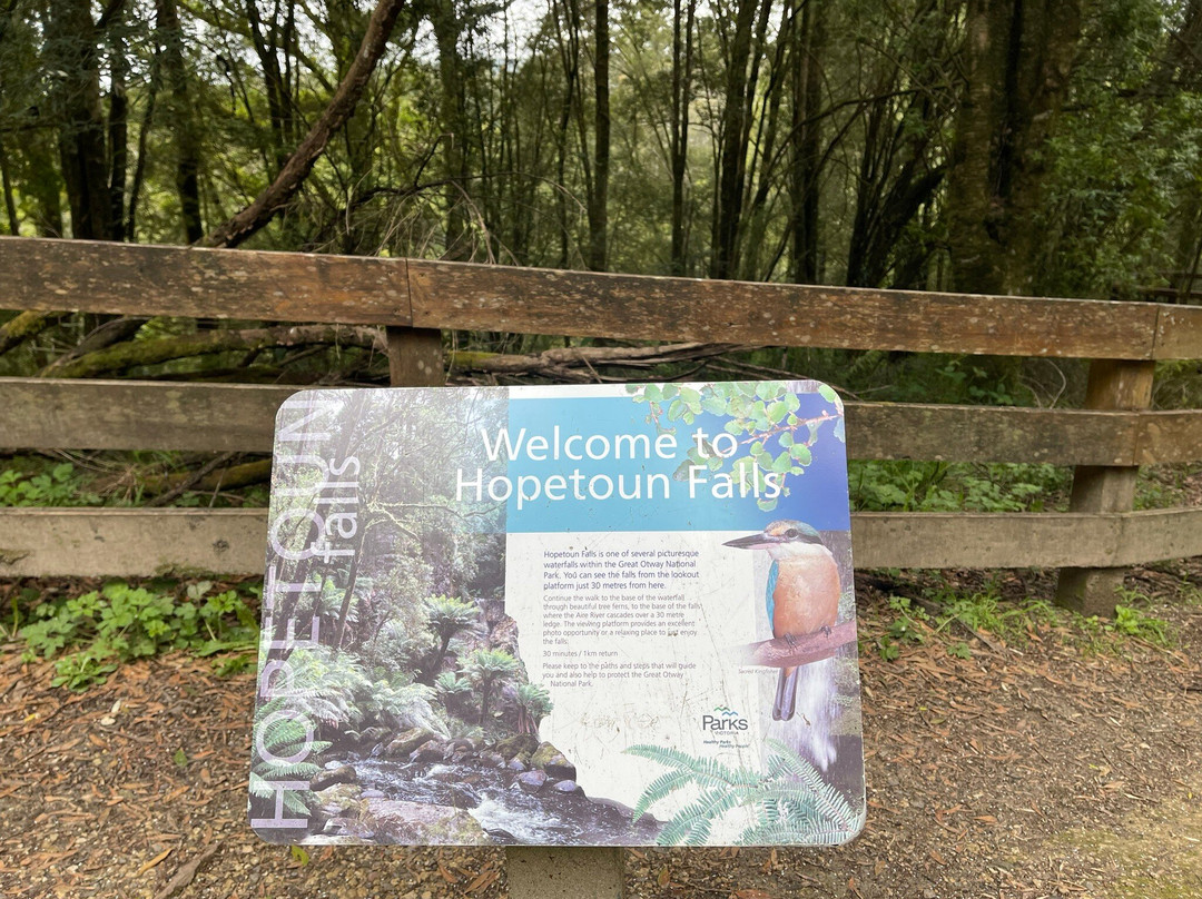 Hopetoun Falls-Beech Forest必去景点