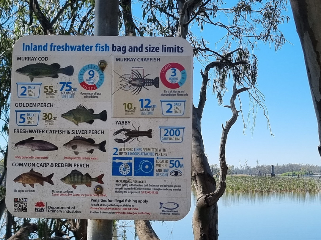 Kyffins Reserve-Mulwala必去景点