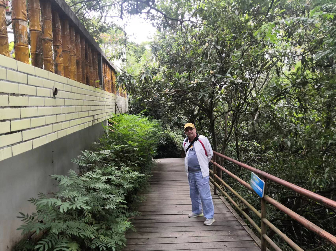 梧州白云山公园景点图片