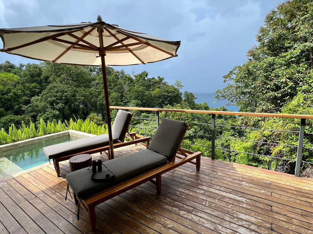 El Remanso Rainforest Lodge主图