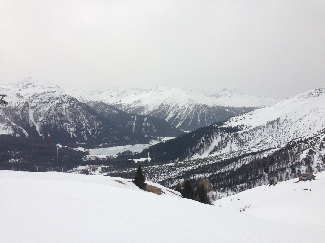 Silvretta Parkhotel Klosters主图