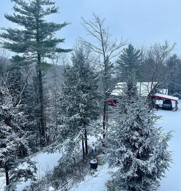 Grunberg Haus Inn & Cabins主图