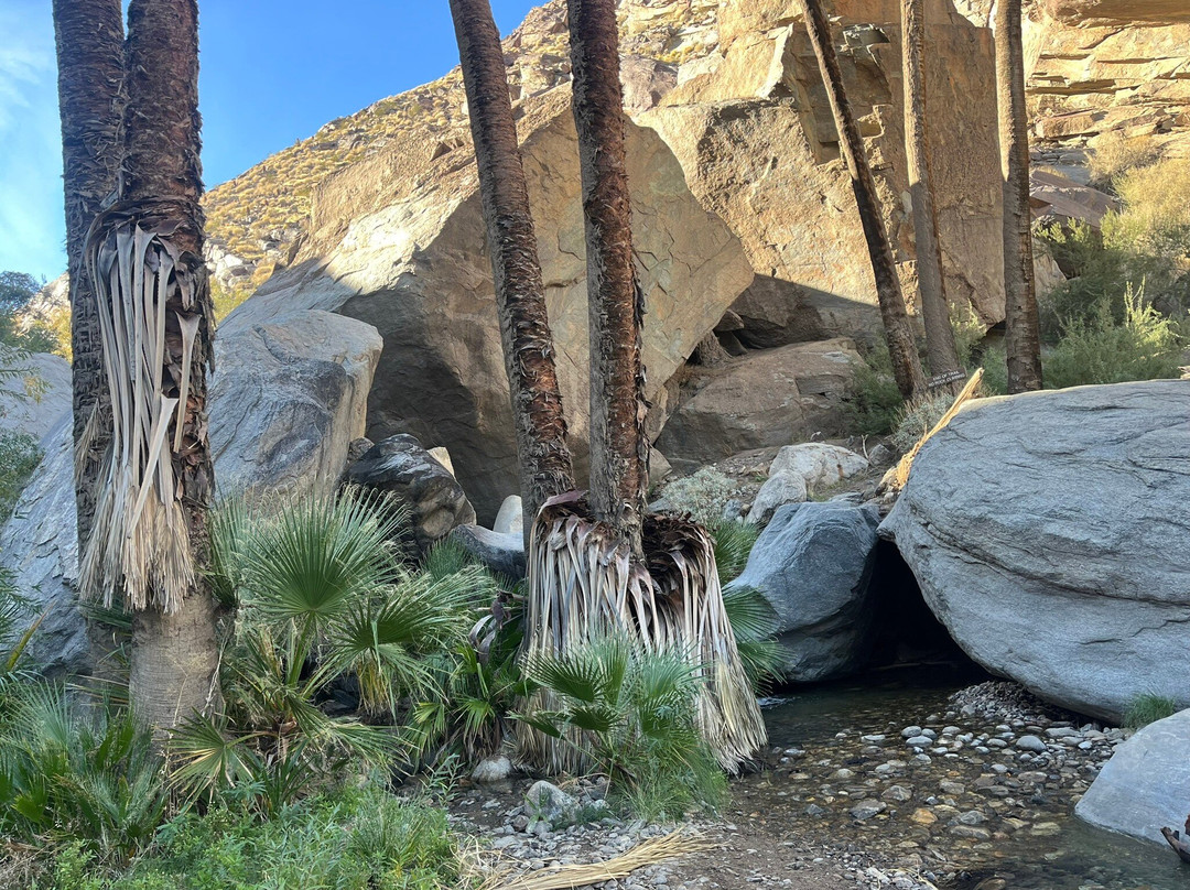 Big Wheel Tours-棕榈沙漠必去景点