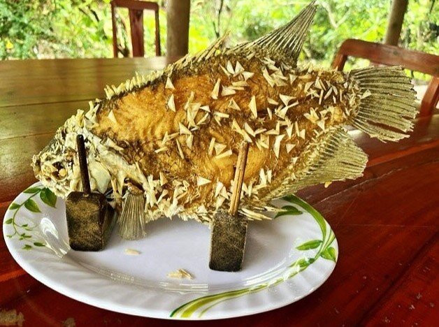 Nam Bo Tours-Ben Tre必去景点