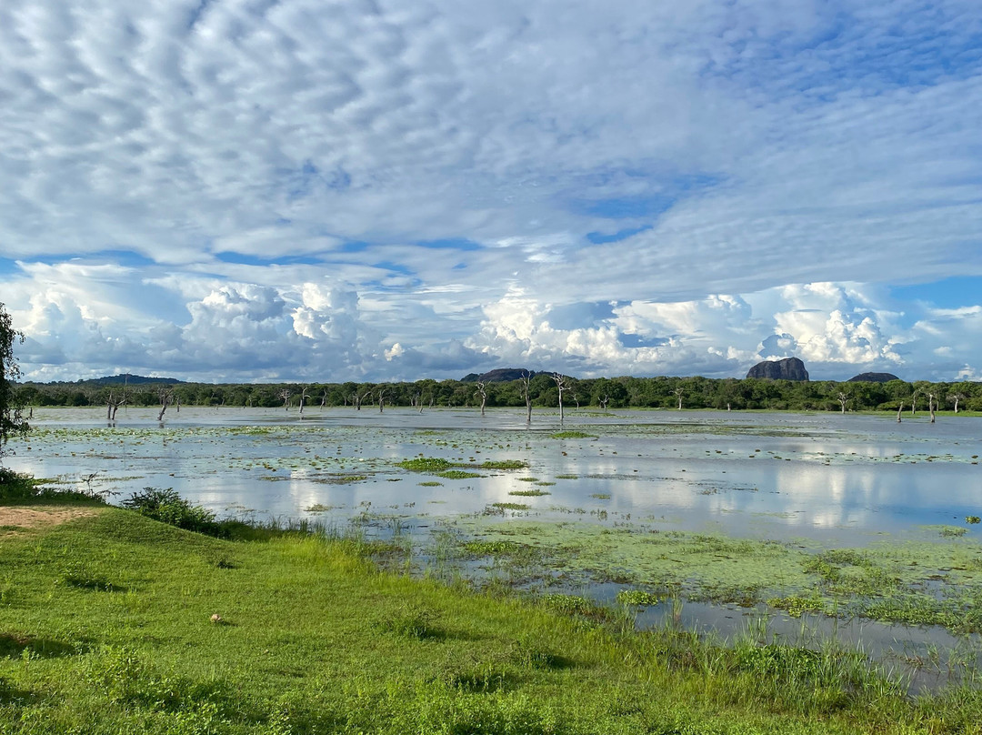 Moon Lanka Tours景点图片