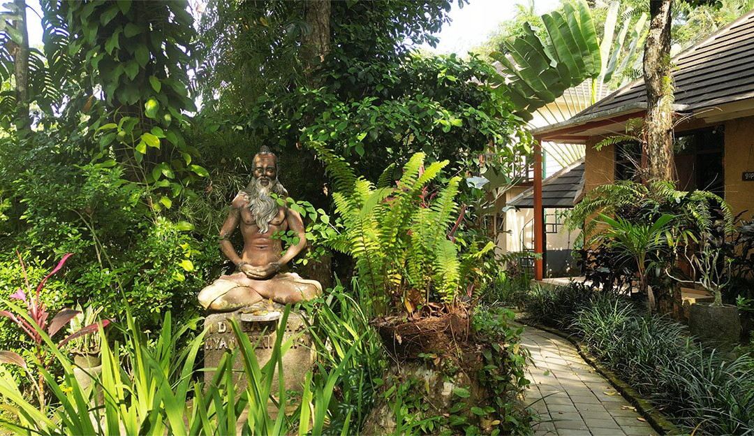 Shanti Toya