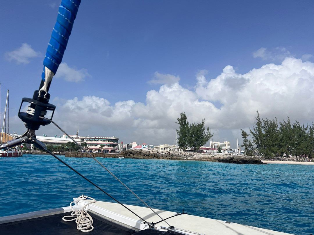 Small Cats Catamaran Sailing Cruises-布里奇顿必去景点