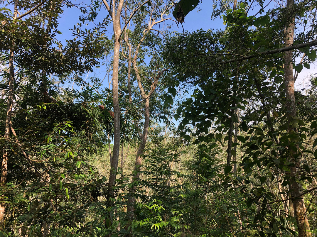 Welcome Sumatra-棉兰必去景点