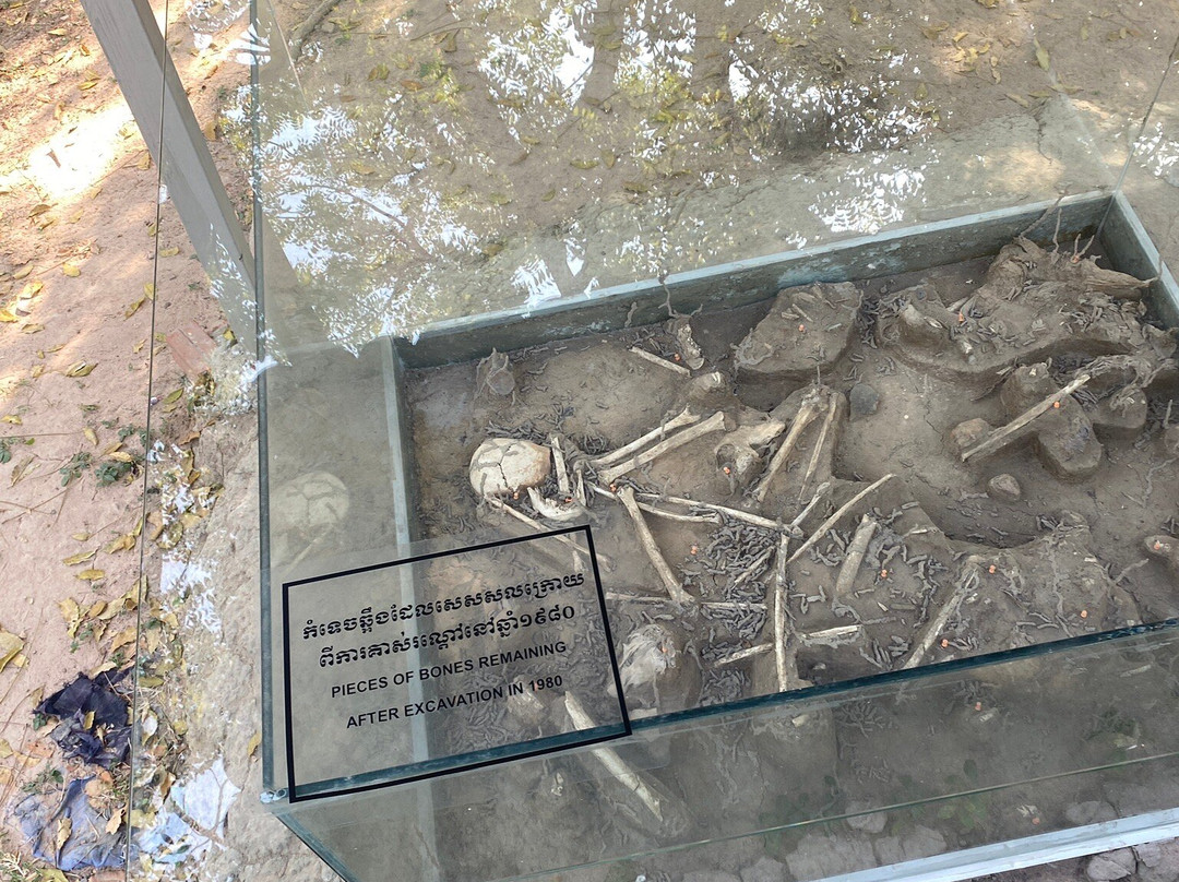 The Killing field and Toul Sleng genocide museum S21 Tour-金边必去景点