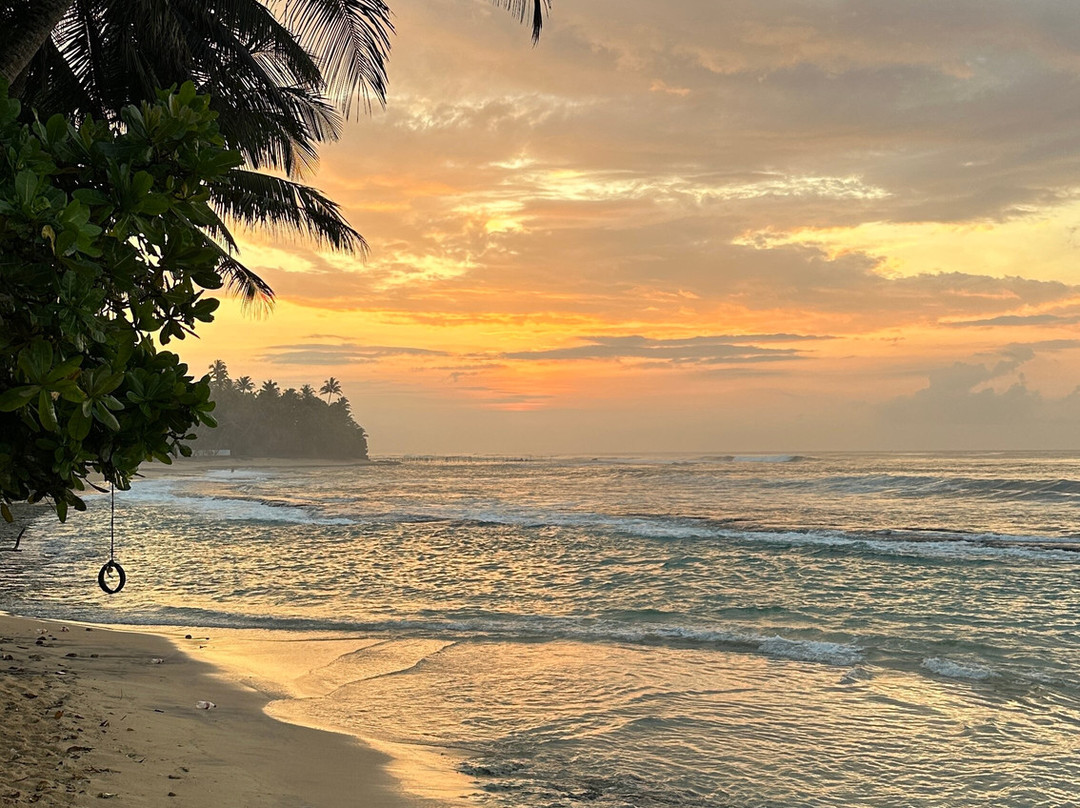 阿育吠陀百利宫酒店主图