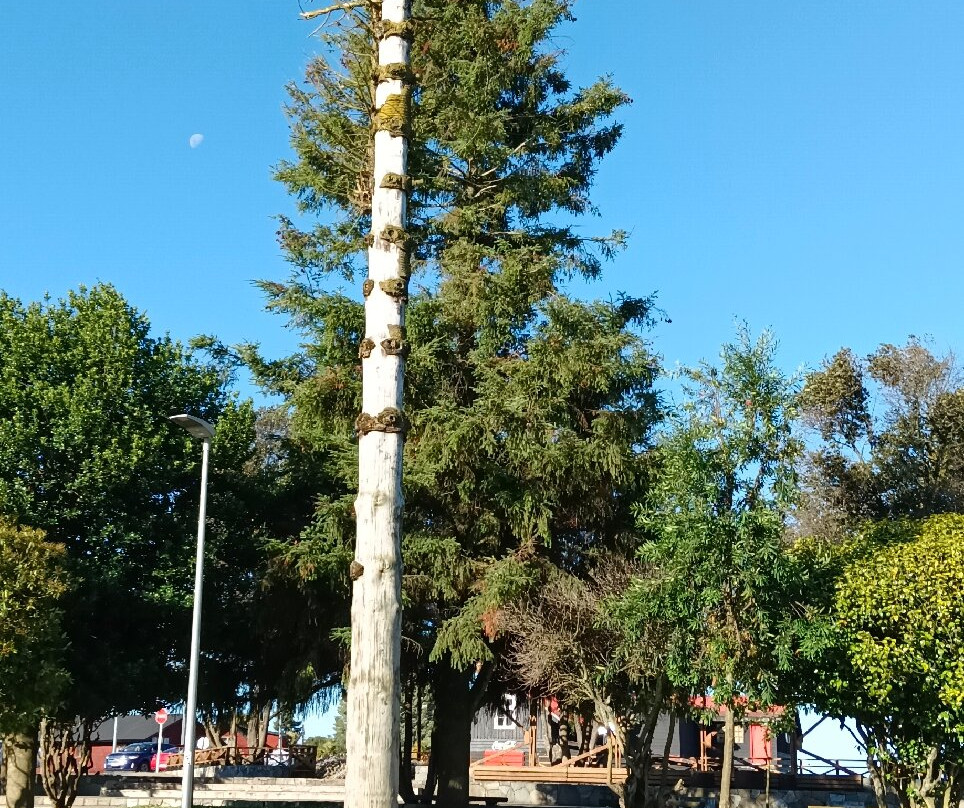 Plaza principal de llanquihue景点图片