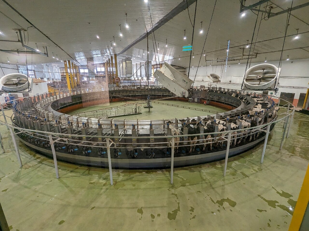 Baladna Park-Al Uqda必去景点