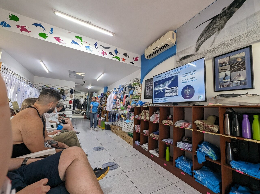 Ecotours Vallarta-瓦拉塔港必去景点