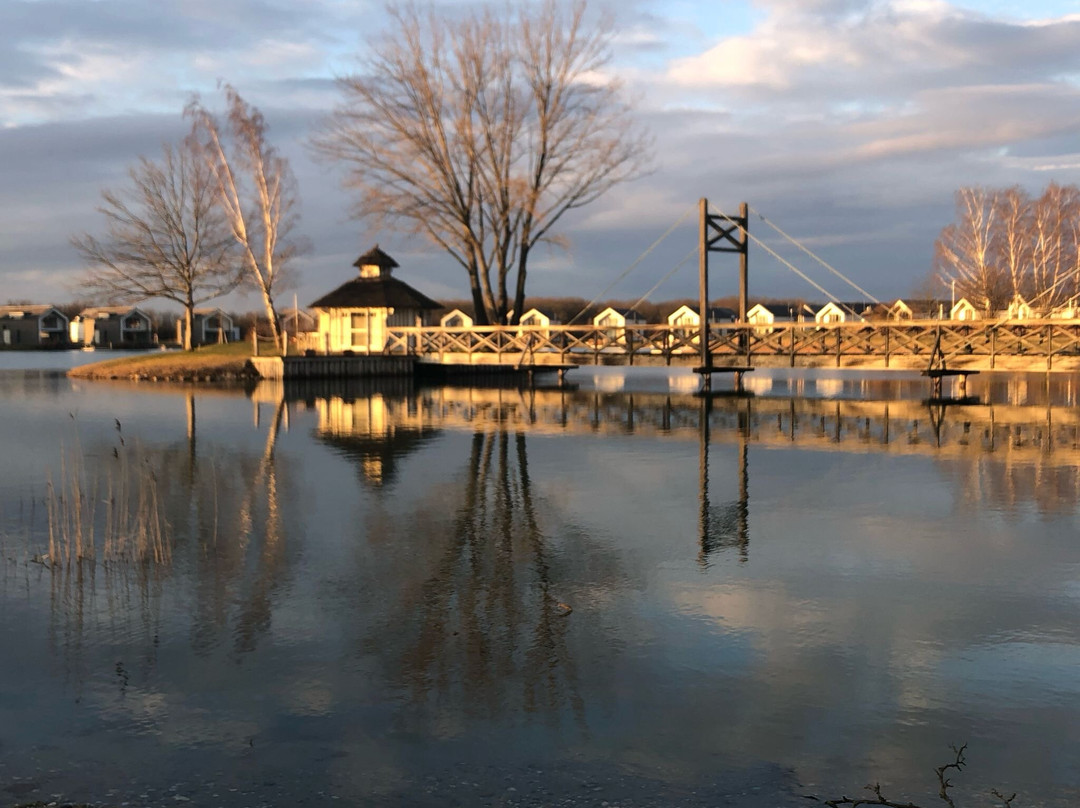 Vila Vita Pannonia主图