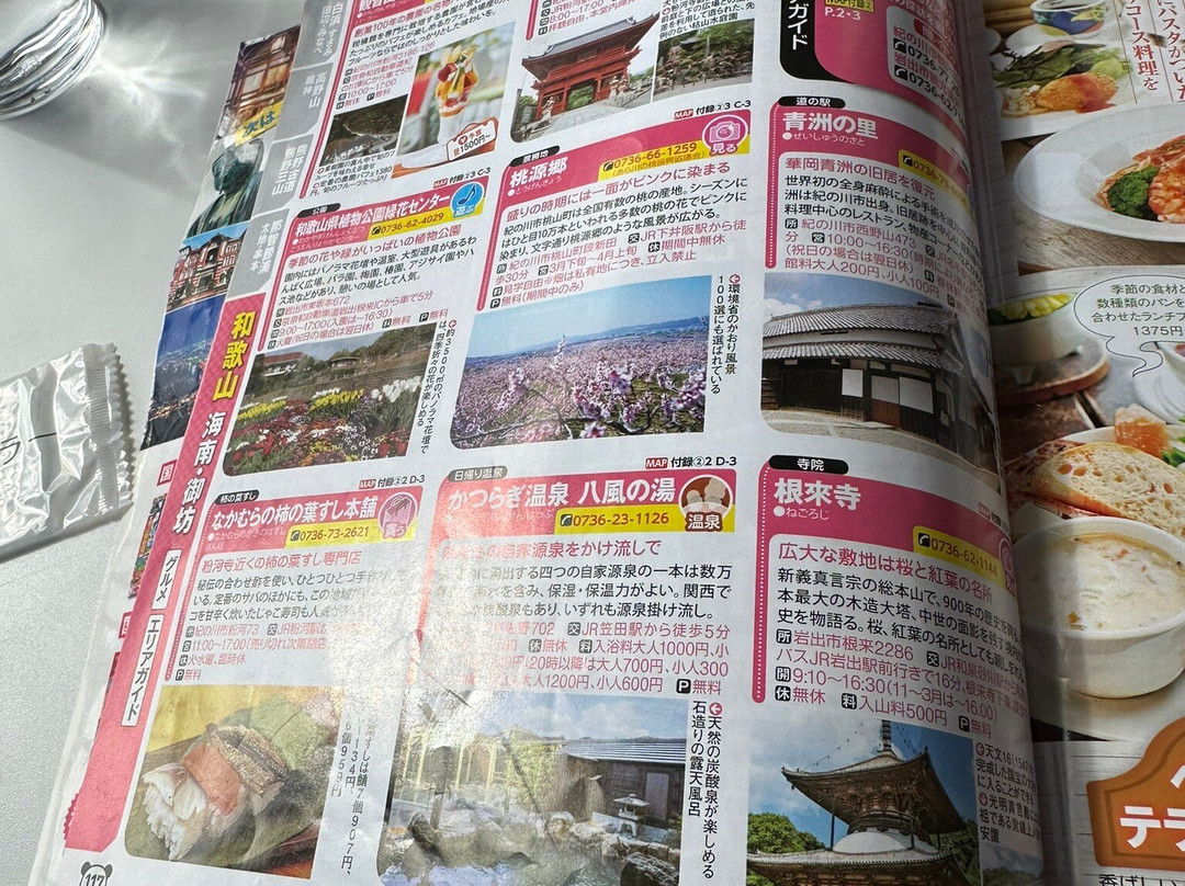 Kannonyama Fruits Garden-纪之川市必去景点